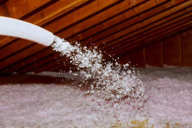 Best Insulation Maintenance and Repair in Etowah, NC
