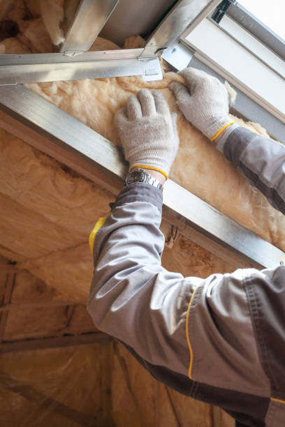 Best Residential Insulation in Etowah, NC